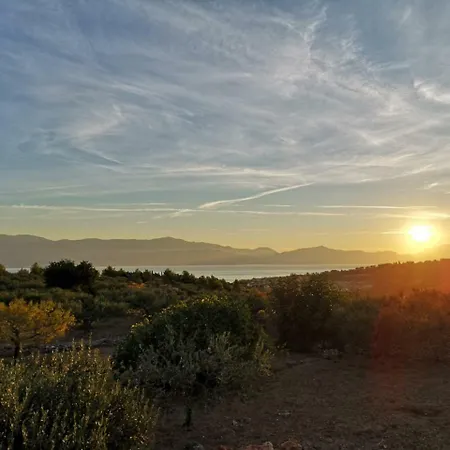 Olive Harvest Villa Sutivan